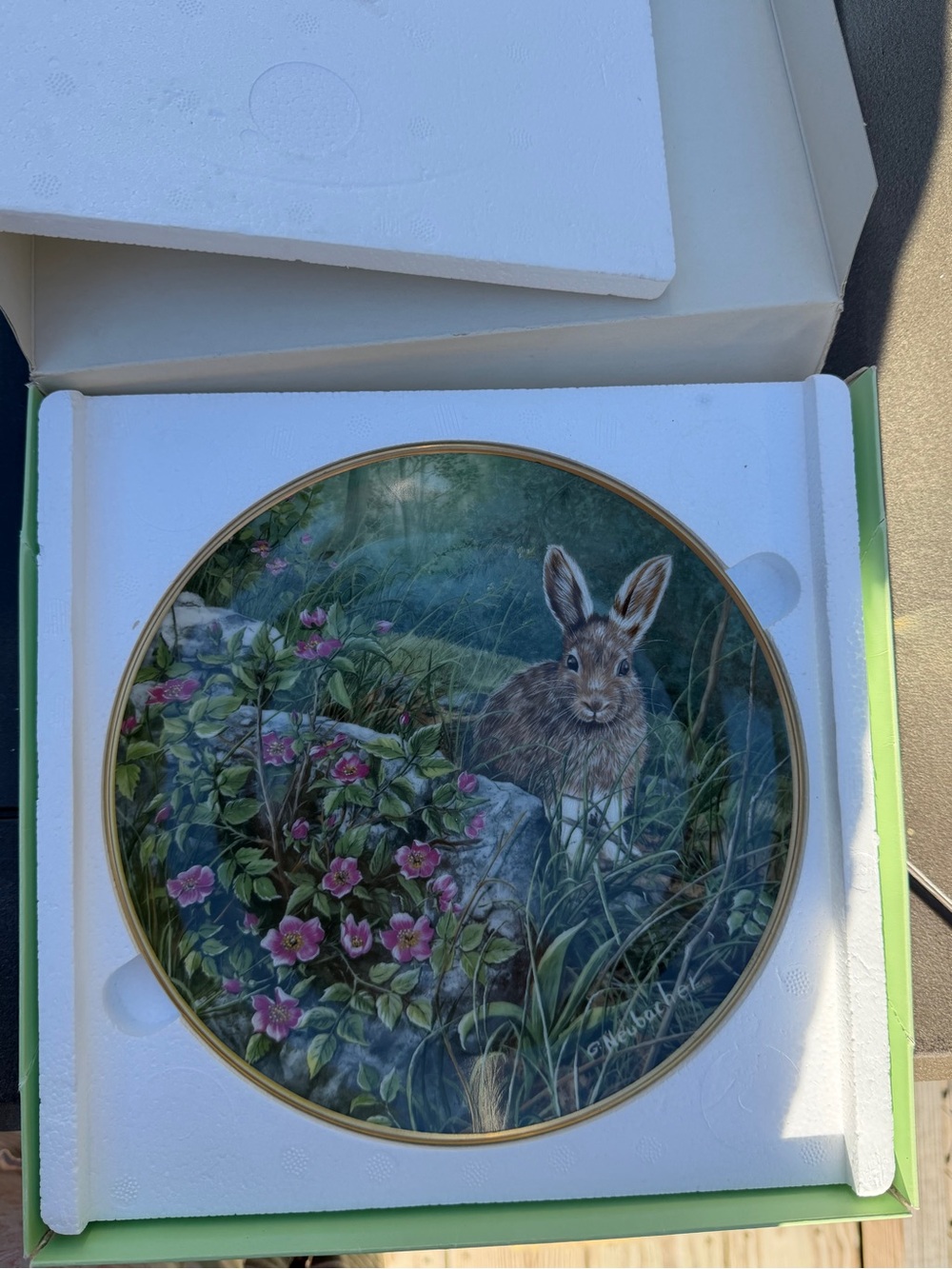 “Wild Roses” Collector Plate Decor | Bunny Rabbit | So Cute! - Picture 10 of 10